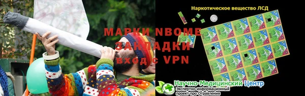 сатива Бугульма